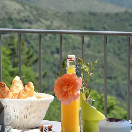 U Frascone Venaco (Corsica)